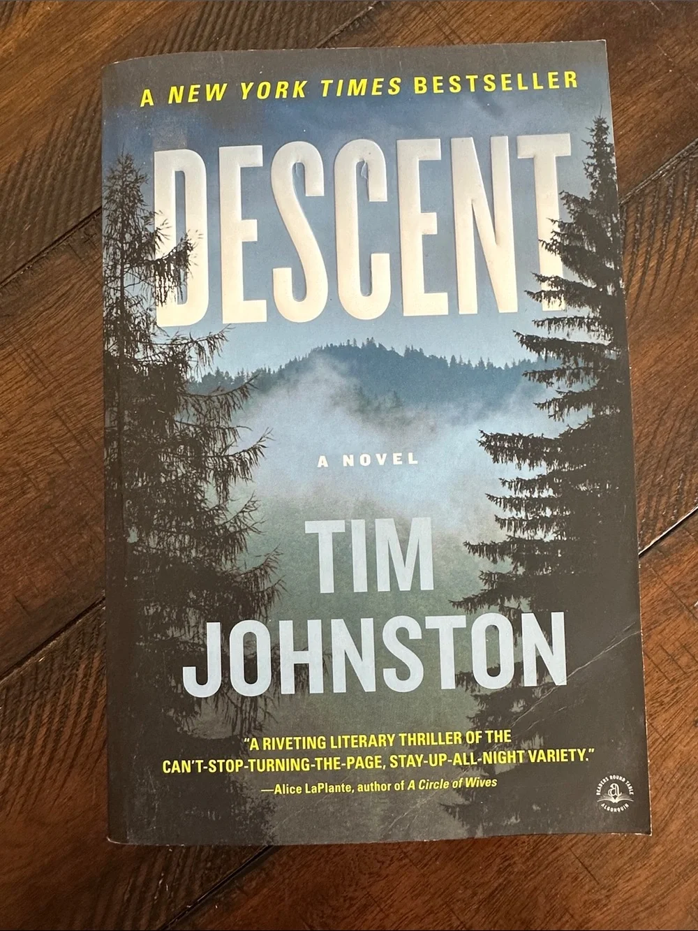 Descent - Tim Johnston